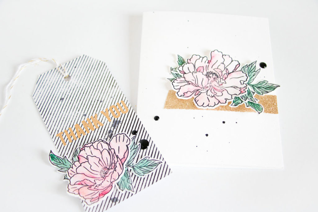 Altenew February Release Cards by ScatteredConfetti. // #cardmaking #altenew #stamping